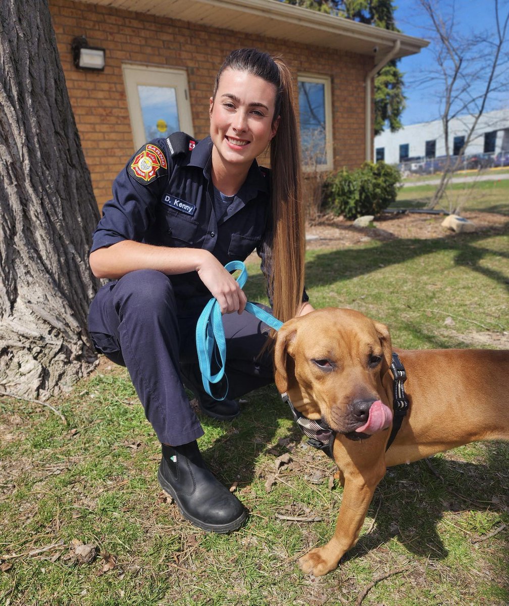 Sarnia Fire Rescue tweet media