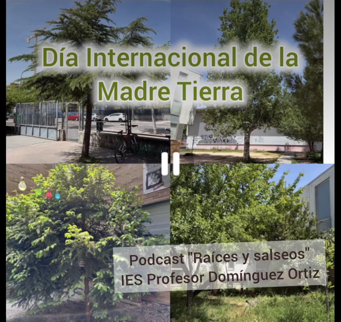 IES Profesor Domínguez Ortiz tweet media
