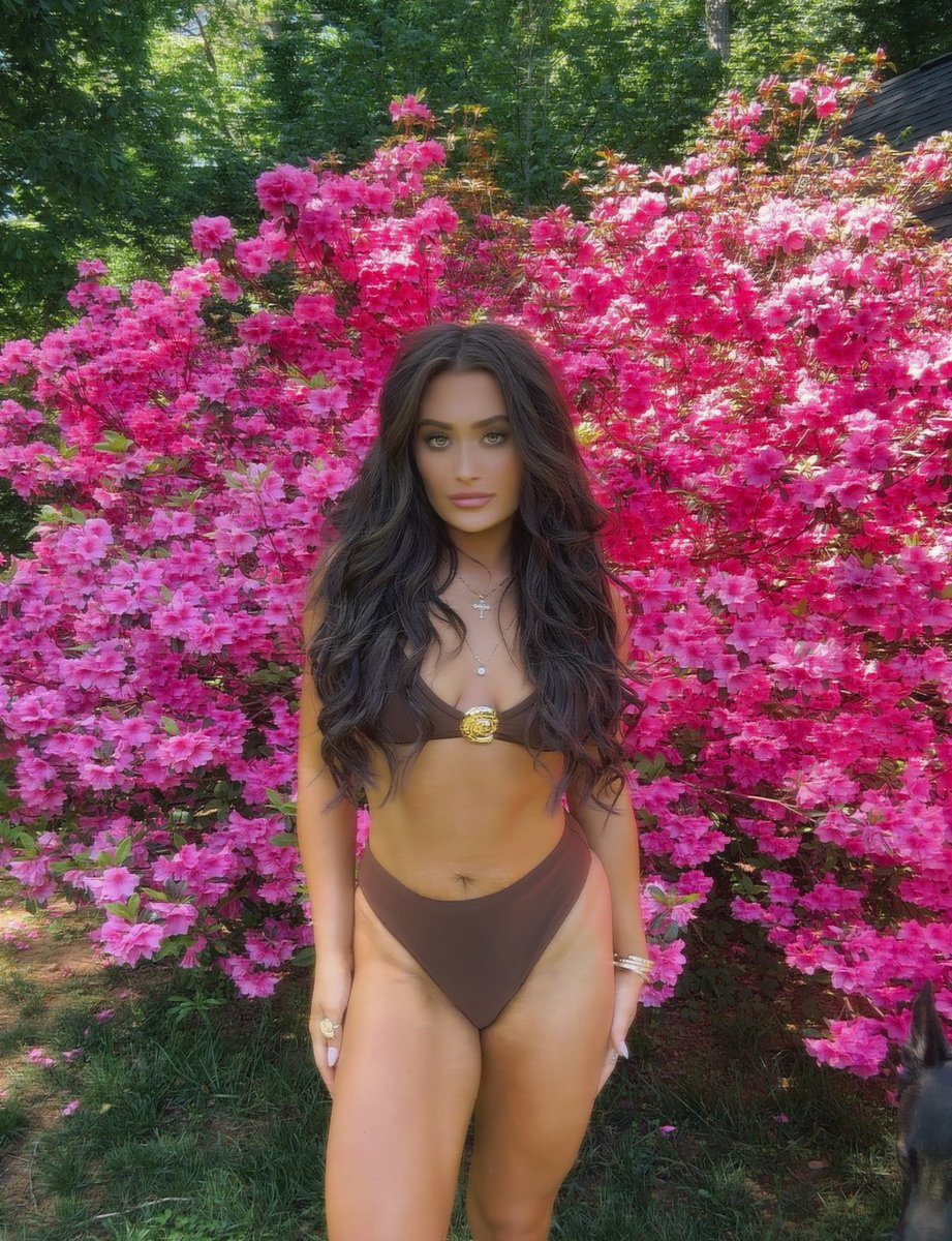 Lauren Maxwell tweet media