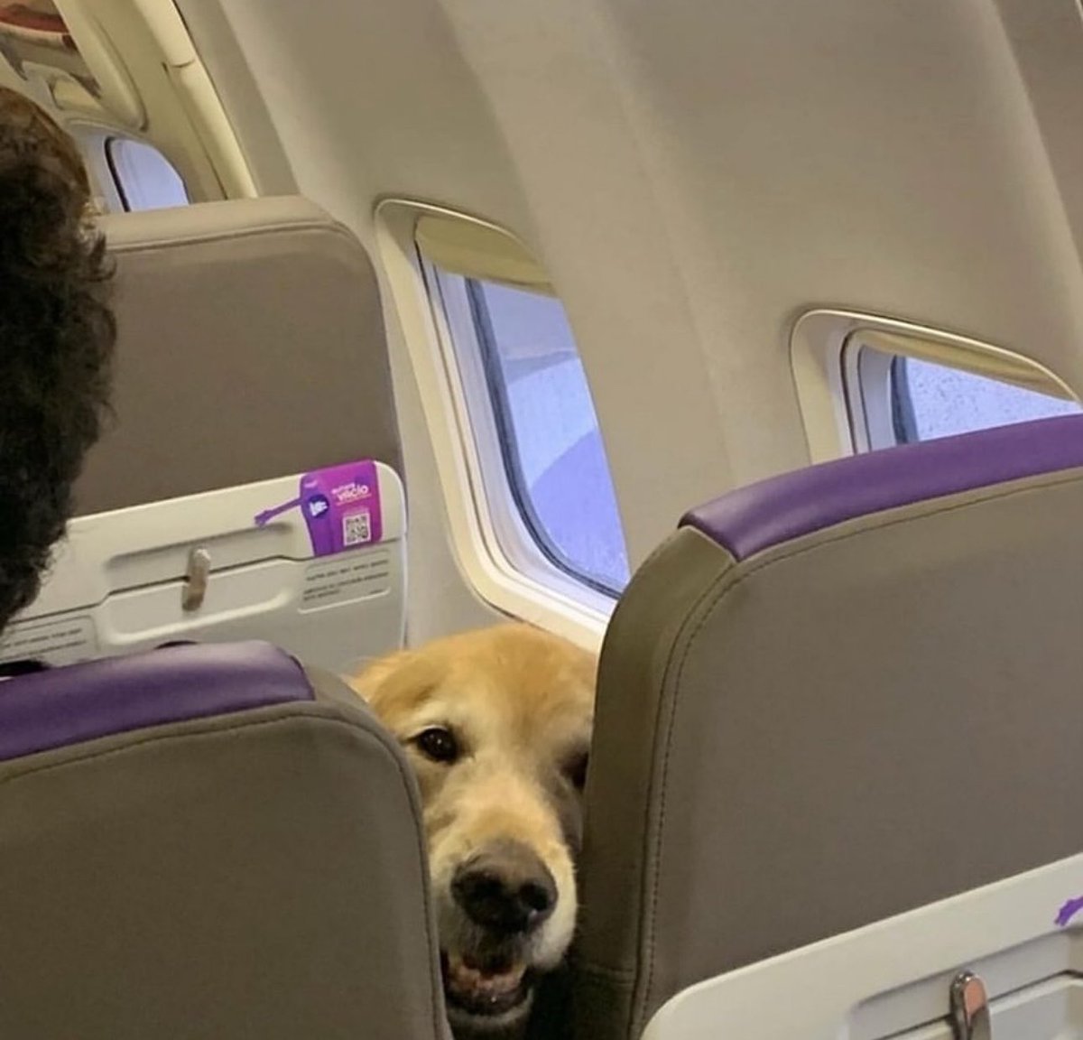 Doesn’t matter where you’re sitting on the plane, if this happens, you’re on a First Class