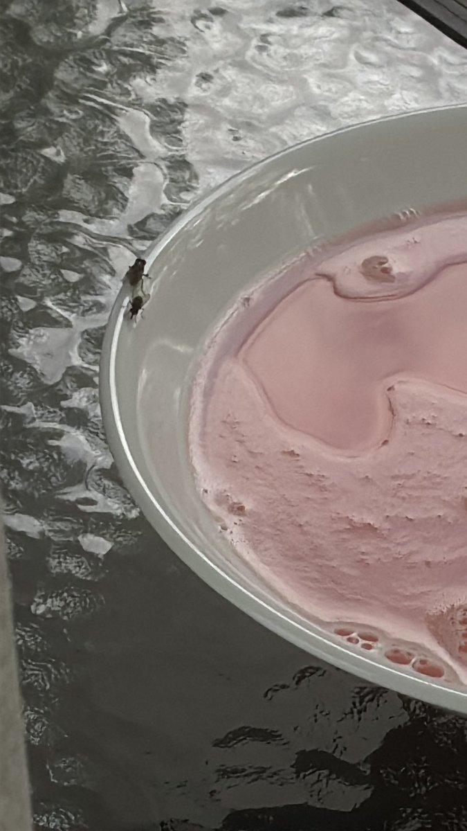 Hunter of 988TWT☁︎｡⋆𓂃ོ tweet media