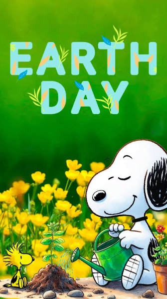 Donna Barillaro tweet media