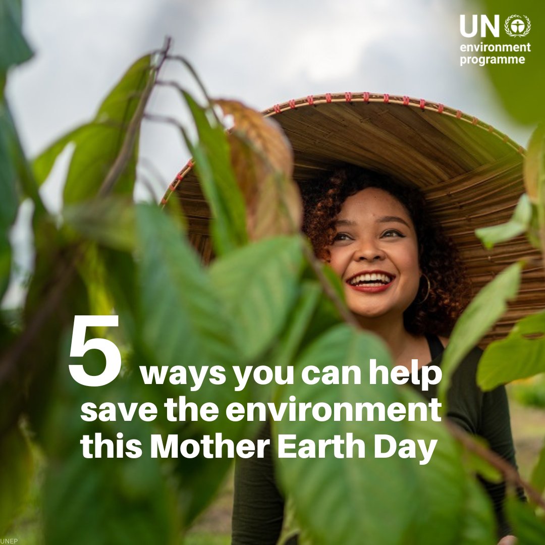 UNEP's tweet image. It is easy to get discouraged by the state of the planet.

Today is #EarthDay, a reminder that there is a lot we can do, as individuals, to tackle environmental crises

Discover five ways you can help save the environment: ow.ly/CSkT50YNNP9