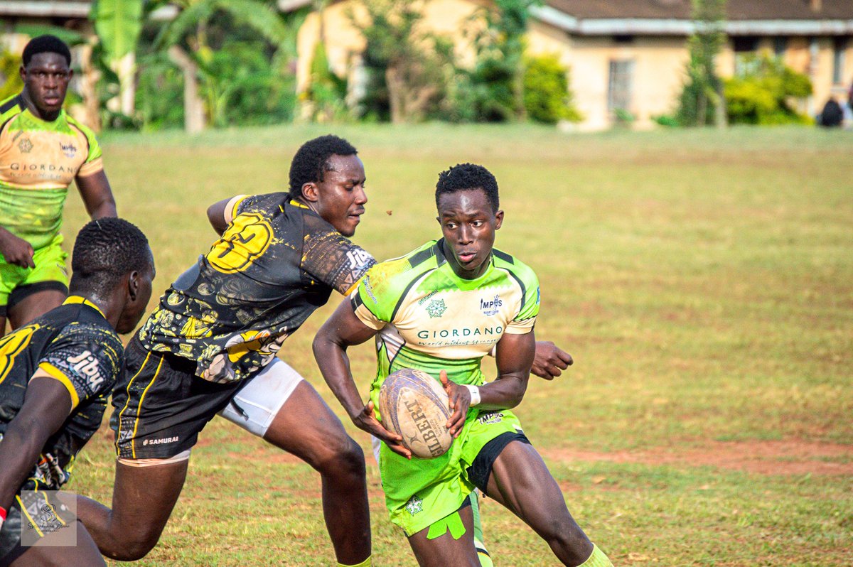 Fat Cats Podcast 🏉🎙️ tweet media