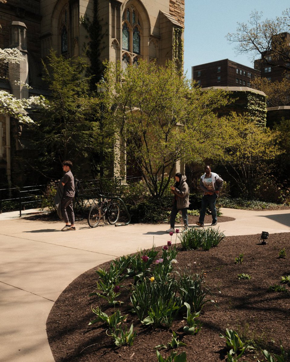 Weatherhead School tweet media