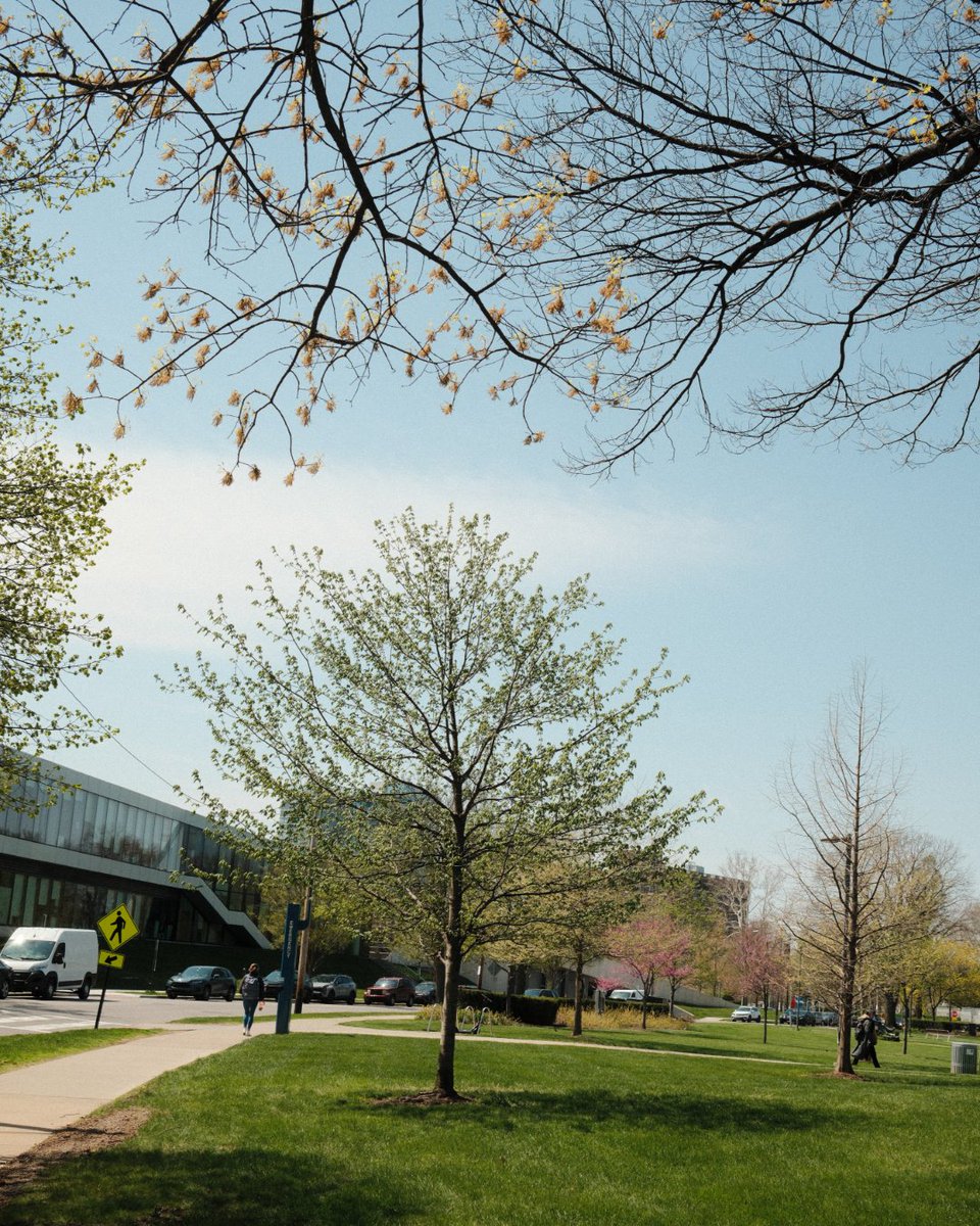 Weatherhead School tweet media