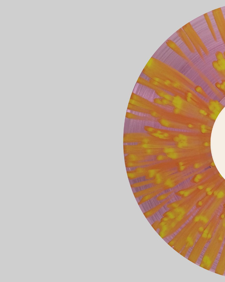 Graffiti Records tweet media