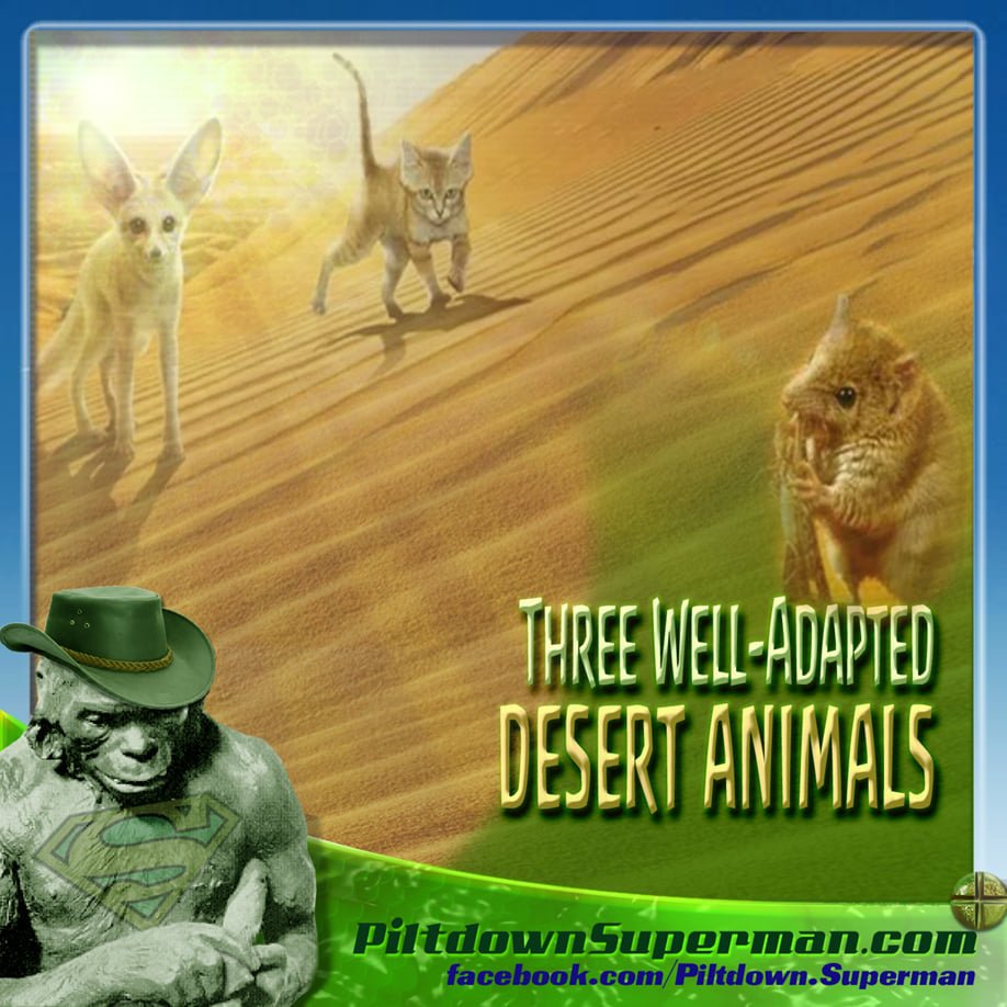 KTHehir's tweet photo. One trick of #evolutionists is to claim that #NaturalSelection IS #evolution &amp; since creationists believe in natural selection, we must also believe that #Darwin was right. 

Not hardly! Natural selection was actually the work of a #creationist...

Details:https://t.co/XMzGpZuPFs https://t.co/T4ntkq683w