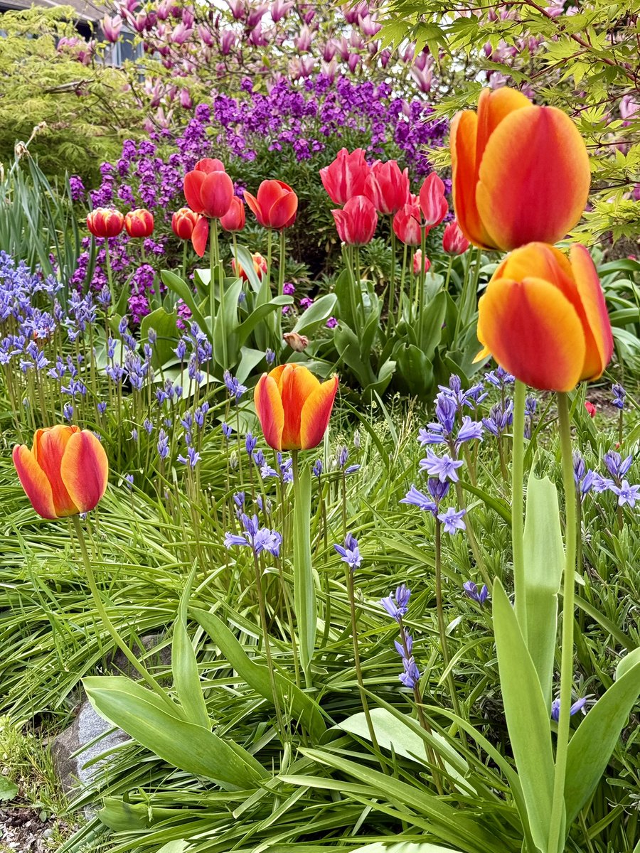 Scott = Blue Ghost 💙👻🏴‍☠️ tweet media