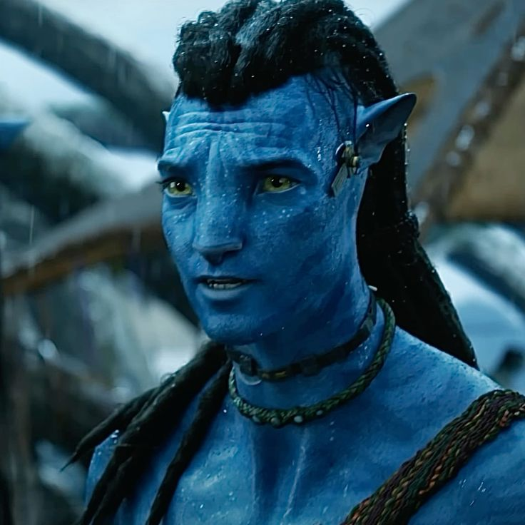 ni 🇧🇷 🇵🇸 .｡.:* aonunete ambassador tweet media