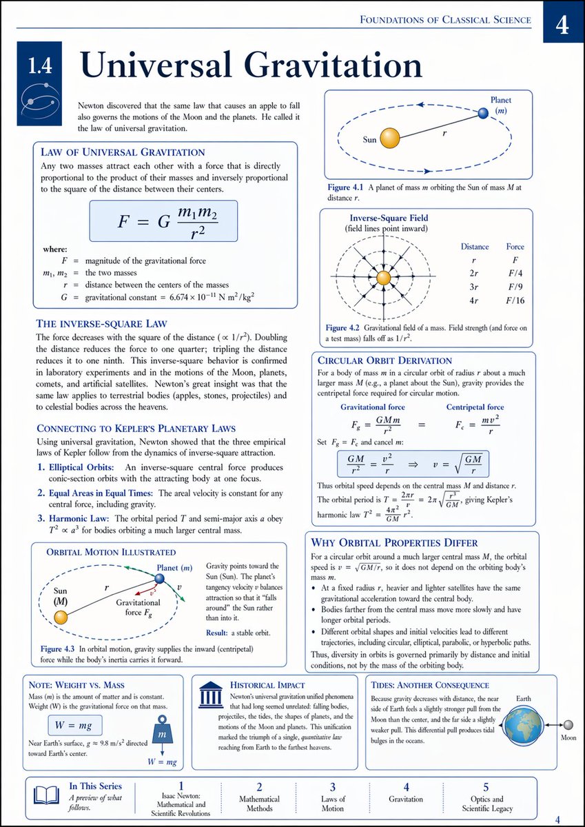 Adele Li tweet media