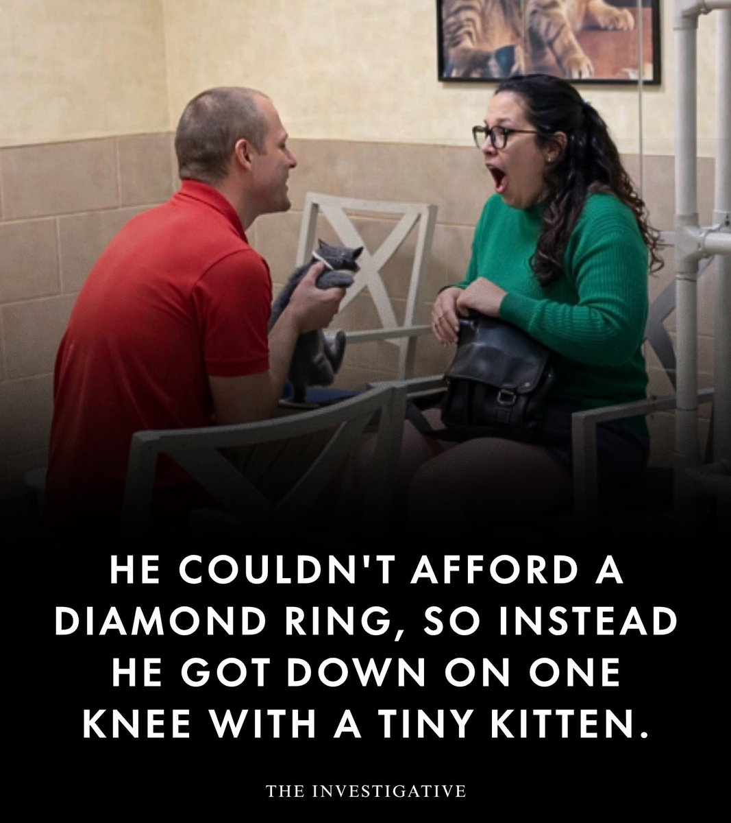 AnonymousNewsHQ's tweet image. He couldn't afford a diamond ring, so he showed up with a kitten instead. What started as a surprising moment quickly turned into the sweetest proposal ever — heartwarming, spontaneous, and unforgettable.

#proposal #engagement #love #kitten #relationshipgoals #fblifestyle
