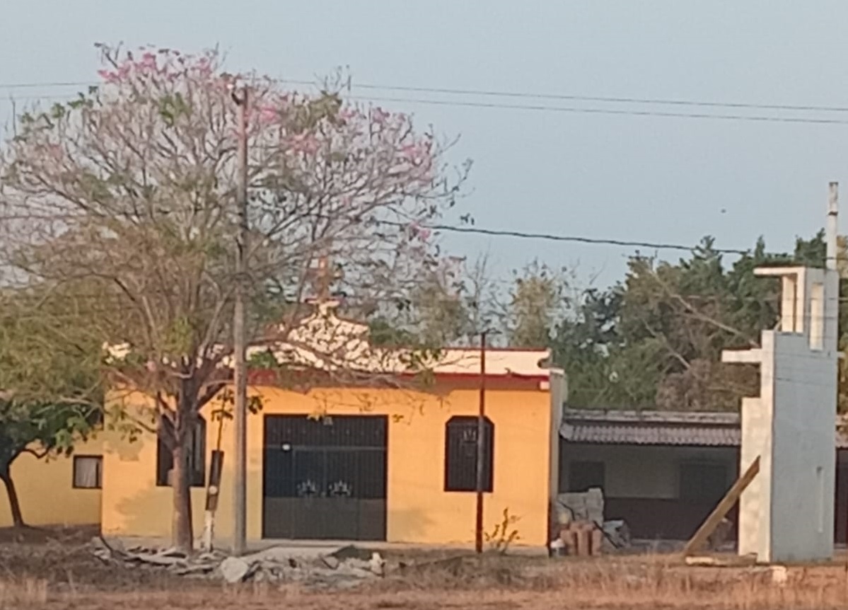 ComentarioUdeC's tweet image. #Colima 

Piden en Cerro de Ortega arreglar poste con enjambre de abejas a punto de caer

elcomentario.ucol.mx/?p=312849

#ElComentario #CerrodeOrtega #enjambre #abejas