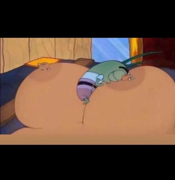 Molly Leash tweet media