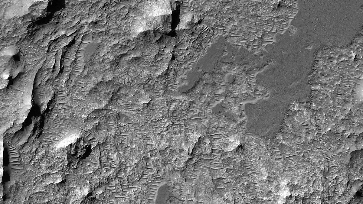 HiRISE's tweet image. HiRISE 4K: Knobs, Bright Deposits, and Inverted Channels in Eberswalde Crater

Parts of the crater have inverted channels that have higher relief because a more resistant material was deposited in the channel. 

Full cutout on Flickr: flic.kr/p/2s8YYnh

#Mars #NASA #science