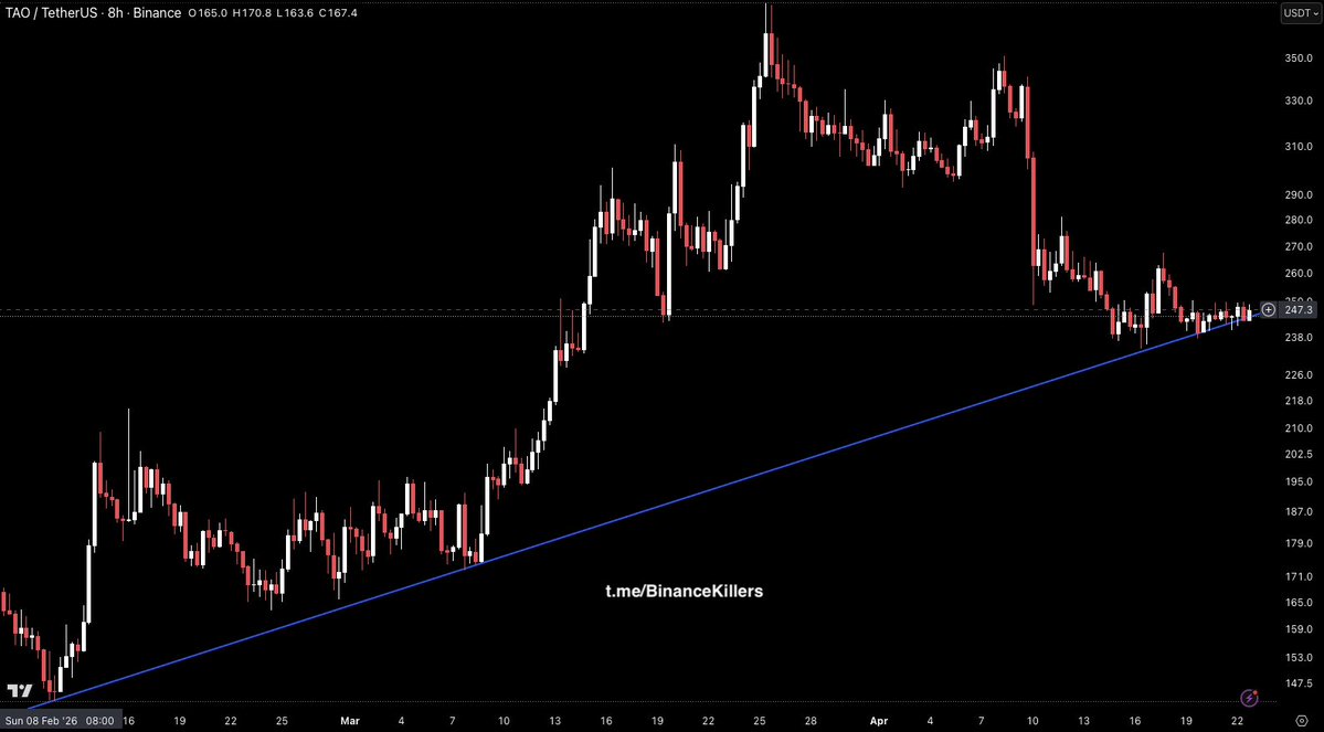 Binance_Killers's tweet image. $TAO collapsed from the 360 highs and is now sitting just above its long term ascending trendline around the 238–243 support zone. 

Holding here offers a potential bounce toward 270–280, but a trendline loss would open the door for significantly deeper downside.

#TAO