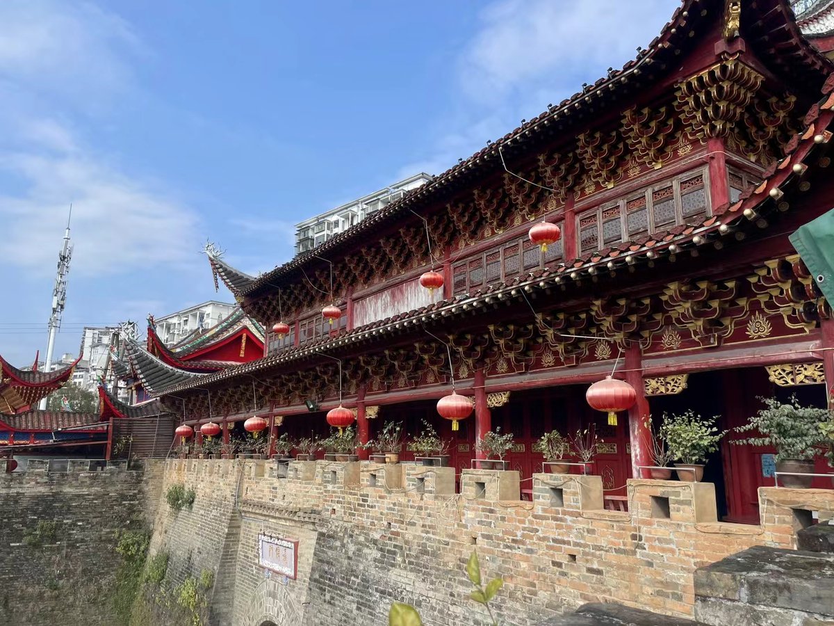 Виталий Степанков tweet media