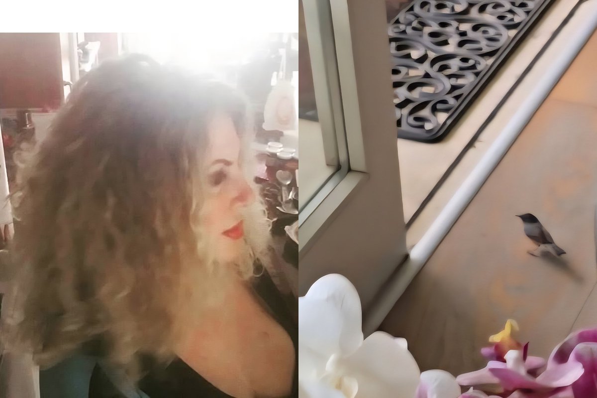 Marella Giovannelli tweet media