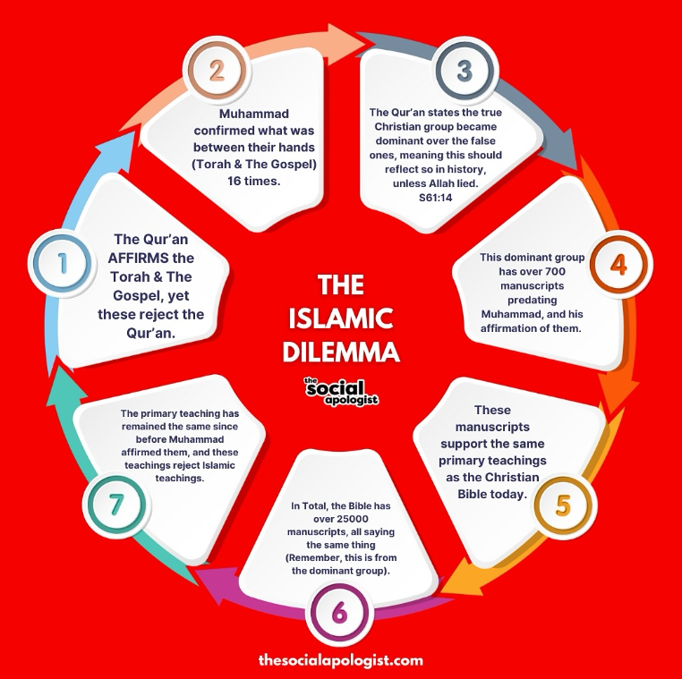 1 Sheep Among Wolves tweet media