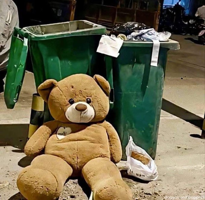 Animalesaprieto's tweet photo. La basura de unos, puede ser el tesoro de otros. https://t.co/ZNTn1aLmz8
