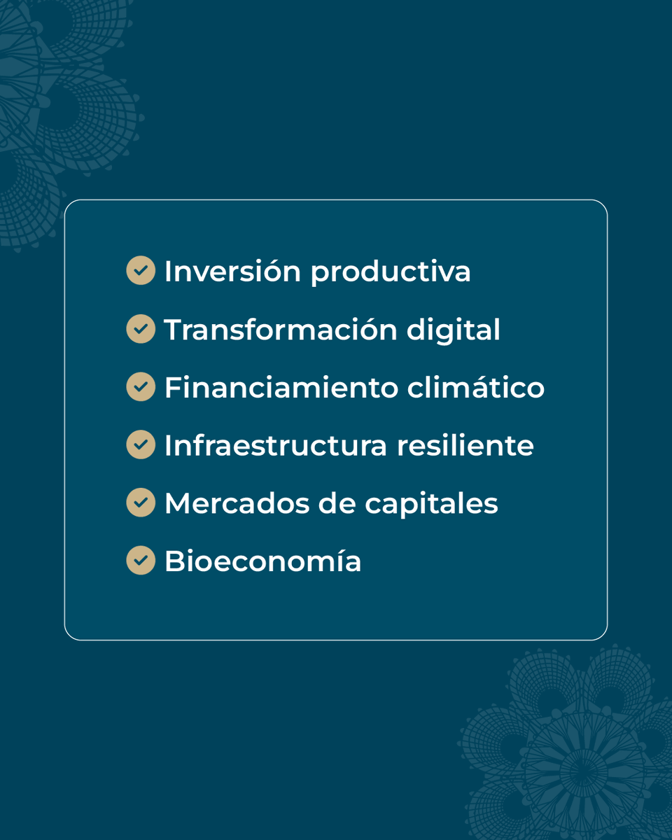 BNF - Oficial tweet media