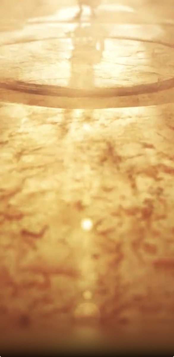 fanpokemoncl's tweet image. Mega lucario? 

Mañana lo sabremos en el trailer de la nueva expansión de Pokemon TCG Pocket

#PokemonTCGPocket