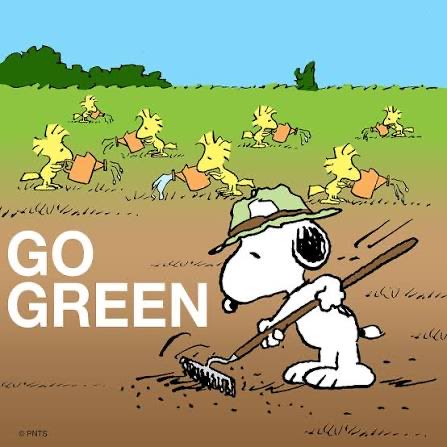 Donna Barillaro tweet media