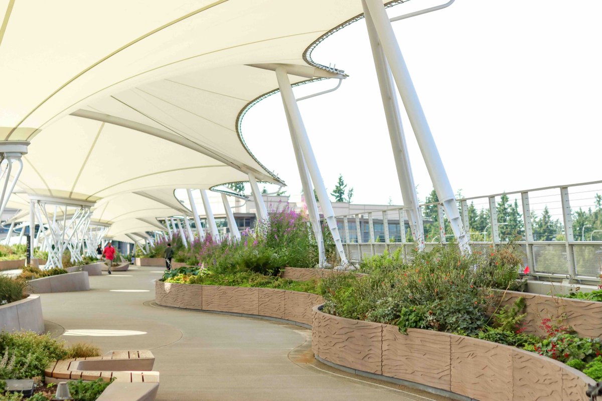 VisitRedmond's tweet photo. ICYMI: The Redmond Technology Station bridge turns a simple crossing into an experience—featuring striking canopy design, built-in greenery, and a smooth path connecting both sides of SR 520. It’s one more reason the journey feels just as enjoyable as the destination 🚆✨ https://t.co/qIwJy7Pd9y