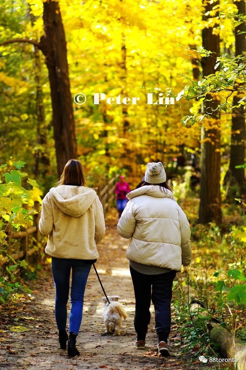 Nadine Marczi tweet media