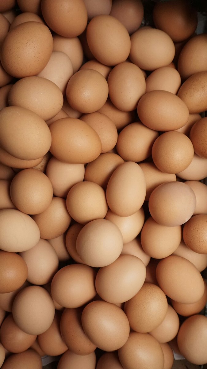DrKneessi's tweet image. Riboflavin B2 liver and eggs shine. Fuels mitochondrial electron transport chain. DM me for a free personalized plan. #Nutrients  #HealthAndWellness
#MindBody
#NaturalHealth
#Wellbeing