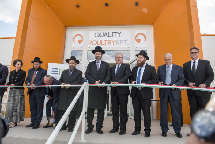 HungaryOrth's tweet image. Where did the billions go? 📉🚫
New investigation reveals how Chabad Hungary (EMIH) used state funds to build a failing empire while ghosting suppliers and seizing synagogues.

Read the full story: hungaryo.blogspot.com/2026/04/the-ko…

#Chabadmafia #thieves #giveback #maoih