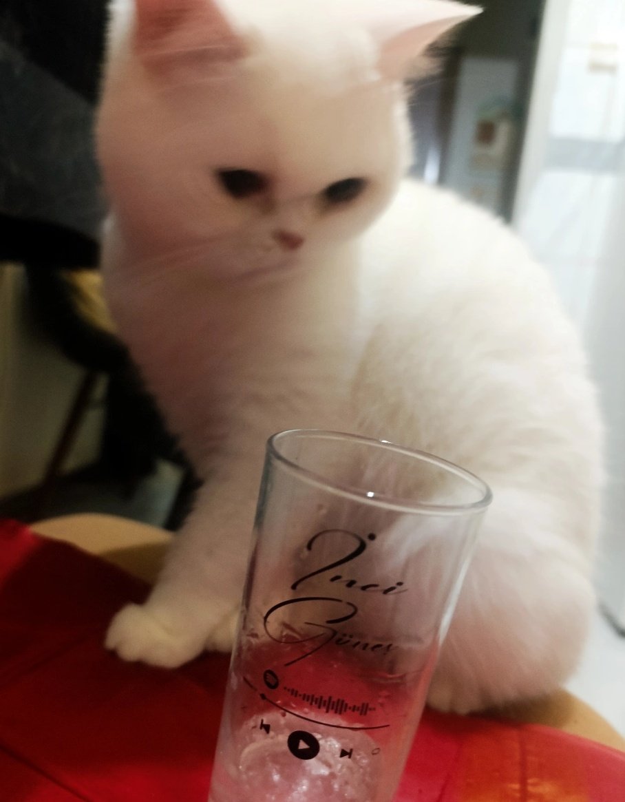 neden??? tweet media