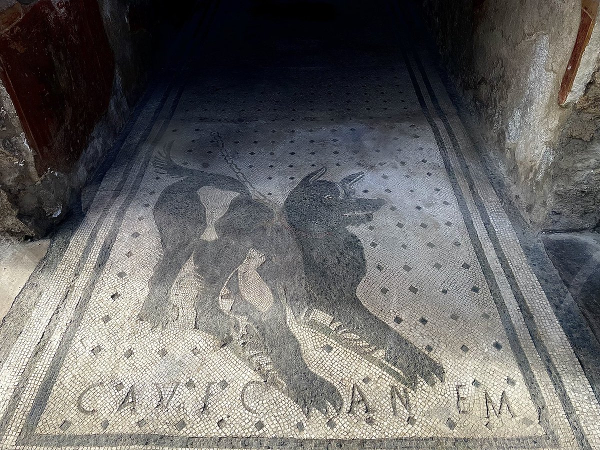 J’ai vu la mosaïque de Jojo aujd