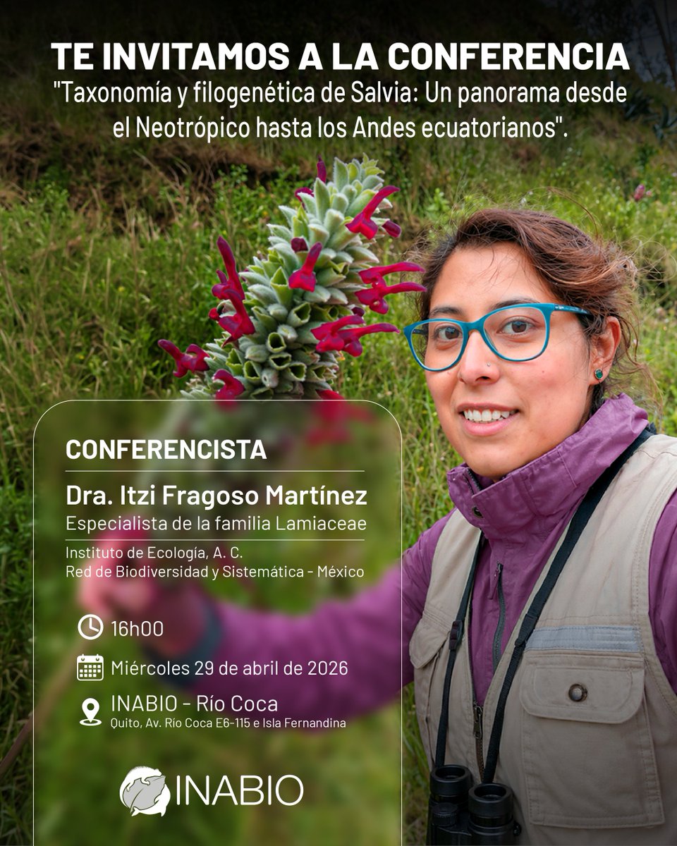 INABIO_EC's tweet photo. 👩‍🔬🌎Te invitamos a participar en la conferencia: "Taxonomía y filogenética de Salvia: Un panorama desde el Neotrópico hasta los Andes ecuatorianos", con la investigadora Itzi Fragoso.

🗓️Miércoles 29 de abril
⏰16h00
📌INABIO/Sede Río Coca https://t.co/iS0u6xhafK