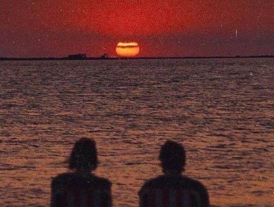 Nightbloom tweet media