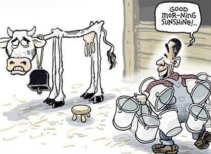 🍋‍🟩' tweet media