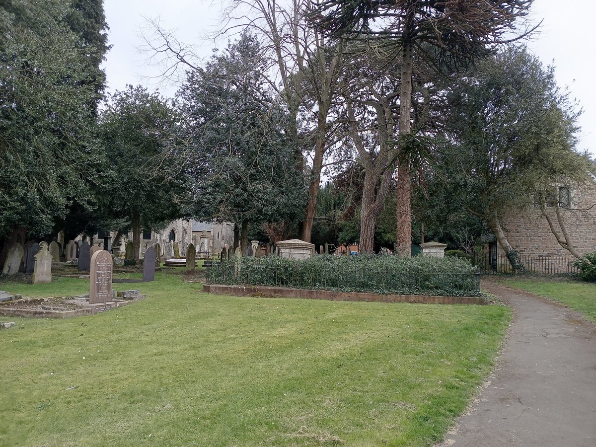phil0073's tweet photo. Bertha 's #MonkeyPuzzle,named respectfully after Elizabeth Bertha Knight , whose remains were reinterred at #LondonRdCemeteryWellingborough. When so named as only Bertha could be under the ivy.
#RememberWednesday #MonumentMonday #StoneworkSunday #treepeople #PhilOnaBike https://t.co/hP8X5jVltH