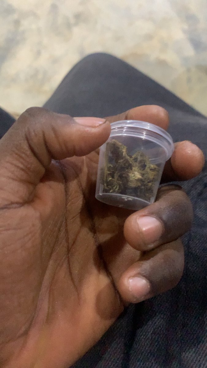 N!O🎀🪖 tweet media