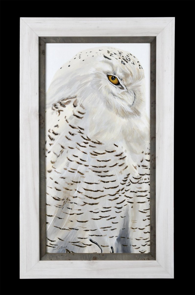 The Strempka Gallery tweet media