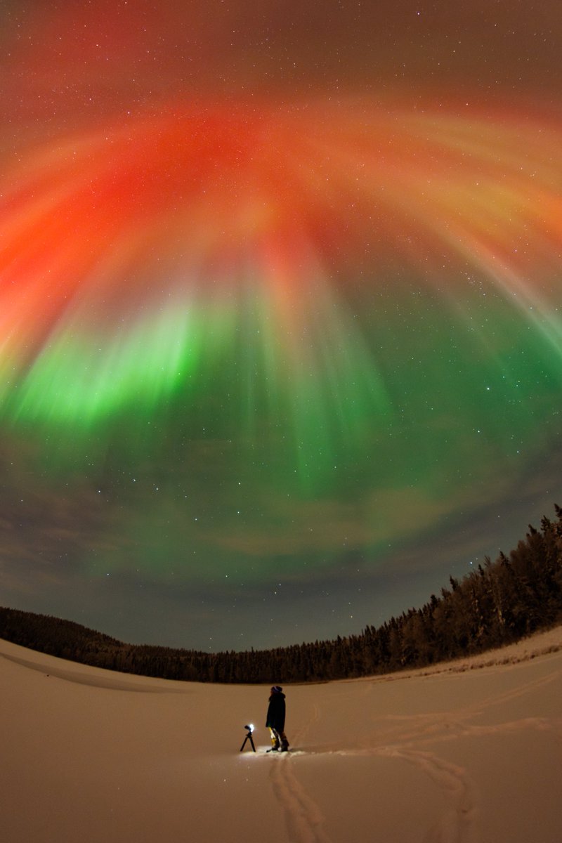 Vincent Ledvina tweet media