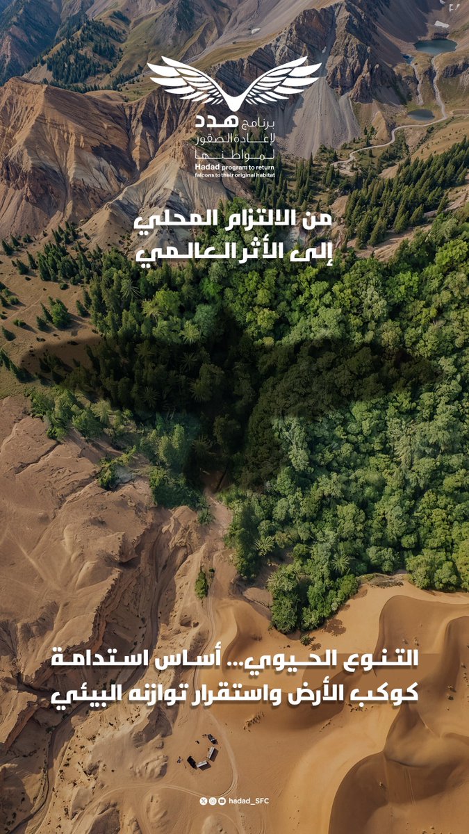Hadad_NCF's tweet photo. الحفاظ على التنوع الحيوي ركيزة لاستدامة الأنظمة البيئية، ويعزّز #نادي_الصقور_السعودي من خلال #برنامج_هدد هذه الجهود عبر دعم استدامة الحياة الفطرية وصون موائلها الطبيعية.

#يوم_الأرض https://t.co/d7LQ3RM3ul