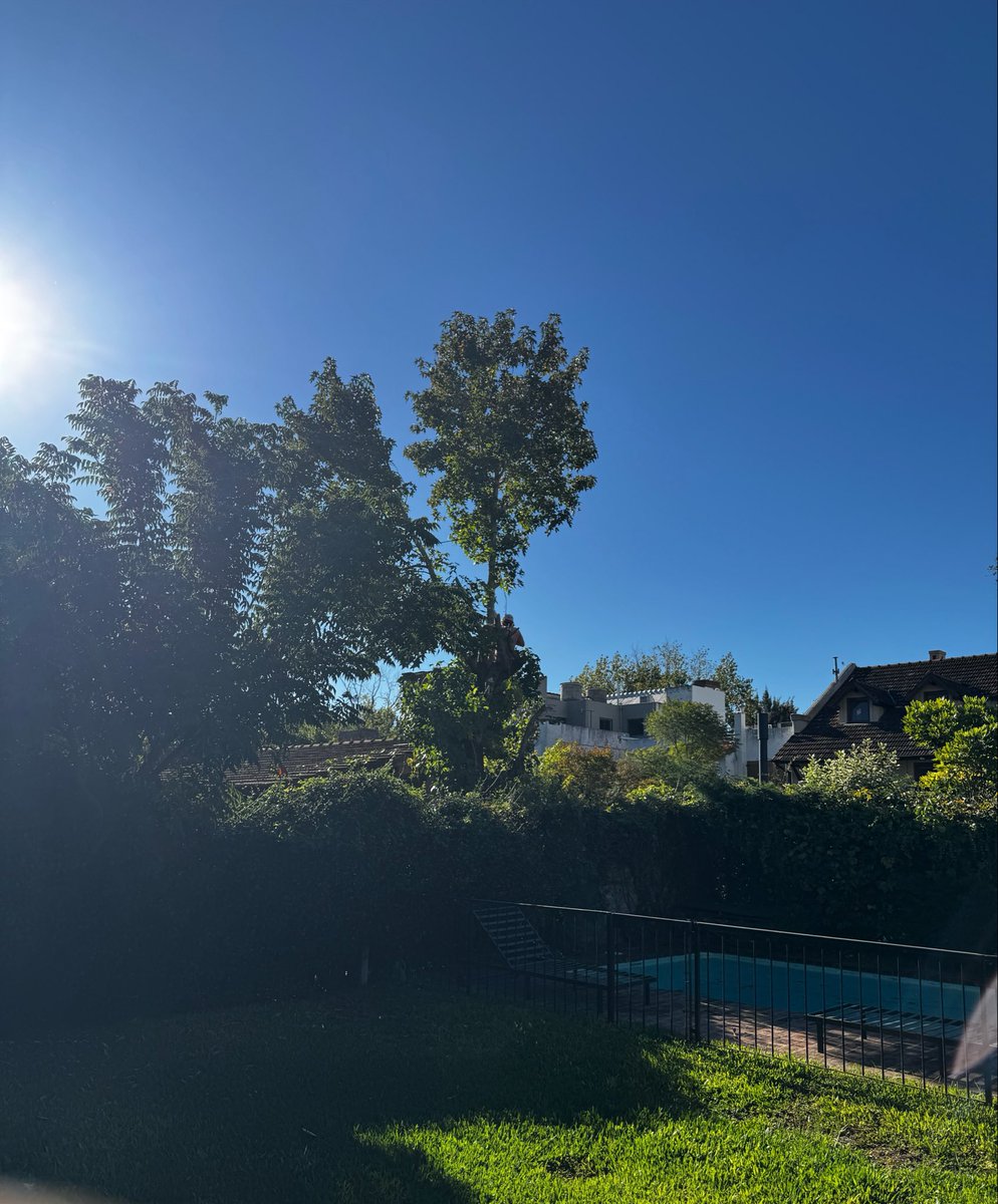 Majo 🍄 tweet media