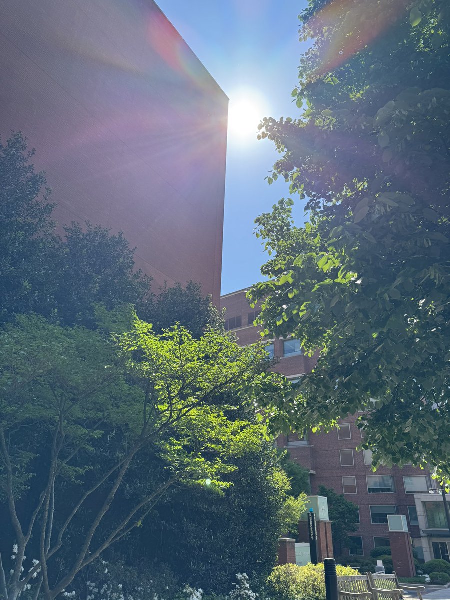 谁爱做实验谁做去 tweet media