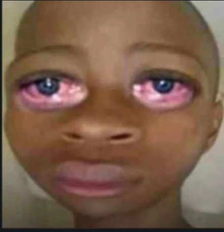 Big Forge tweet media