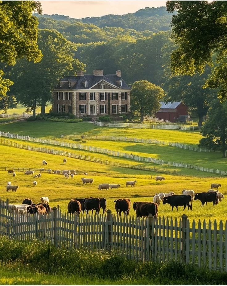 i.r.e.d.i.a tweet media