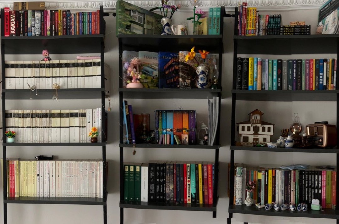 tamer aydın tweet media