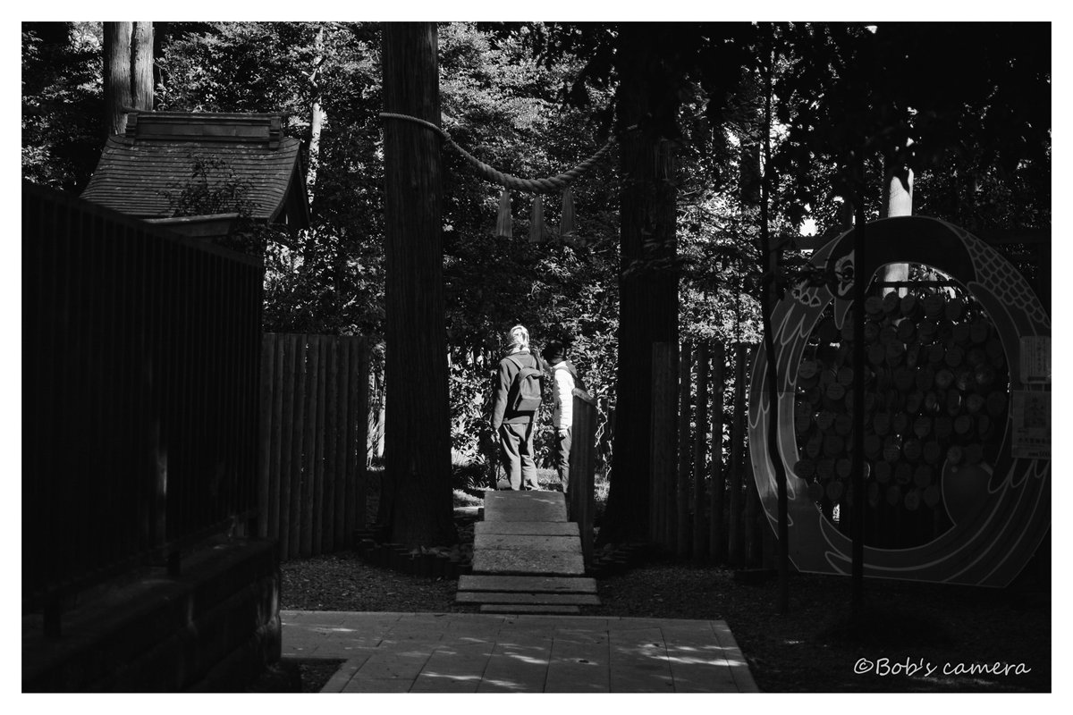 よボブ tweet media