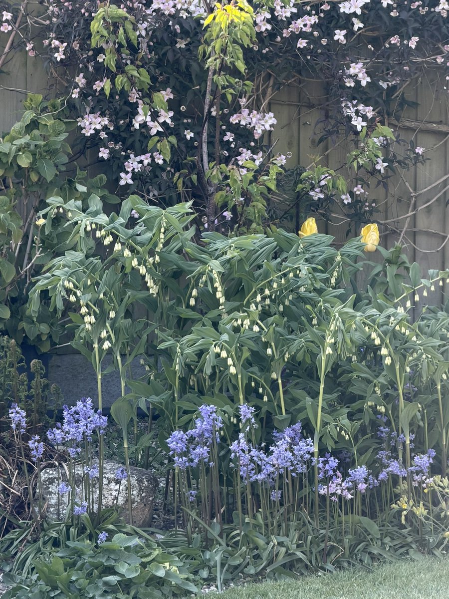 Liz Beresford-Davis tweet media