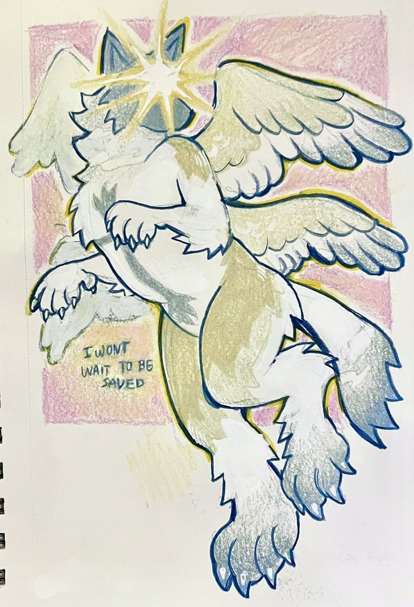 wolfe 🌕 tweet media