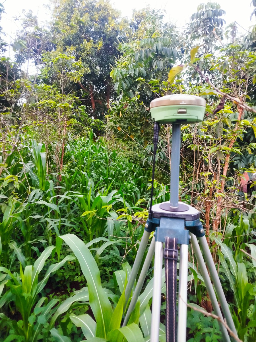 ®RuithaFelix tweet media